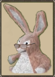 bunny-glasses.png
