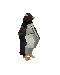 live_penguin.png