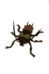 cockroach_worker.png