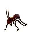giant_ant_soldier.png