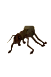 giant_ant_worker.png