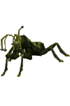 giant_cave_bug.png
