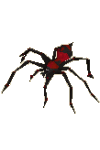 poison_spider.png