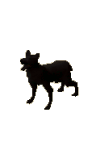 shadow_hound.png